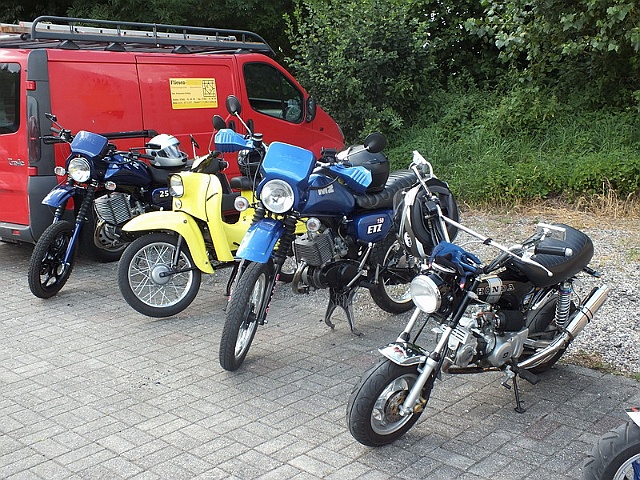 Bild (50)